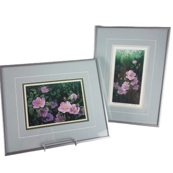 Framed Art Prints Alberta Wild Rose IV and Alberta Wild Rose VI by Elsie Baer - Picture 1 of 16